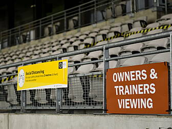 Owners to return to Irish race...